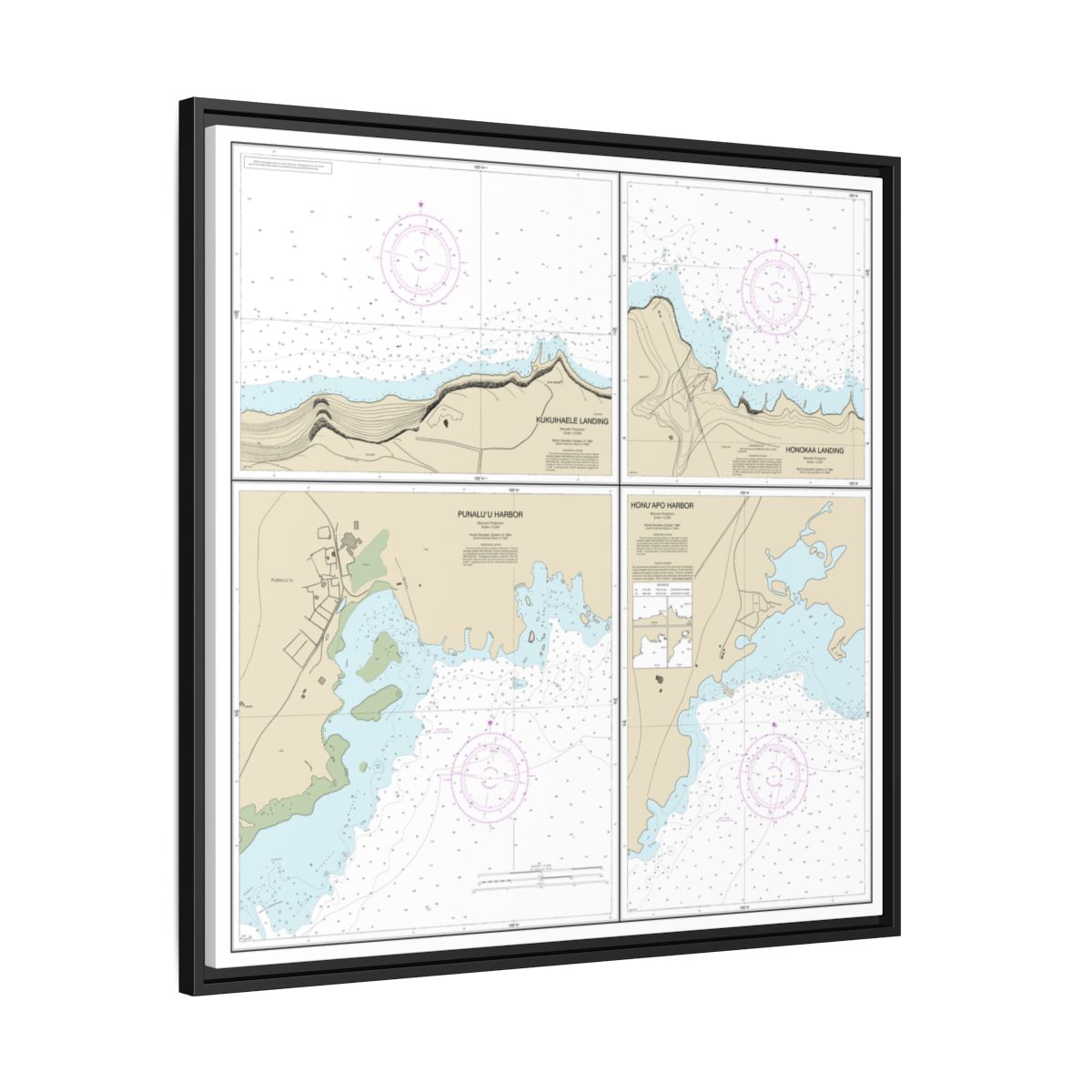 Chart 19322 Harbors and Landings on the Northeast and Southeast Coasts of Hawaii;Punaluu Harbor;Honuapo Bay;Honokaa Landing;Kukuihaele Landing - NOAA Nautical Chart Floating Frame Canvas | 32" x 32" - Black side