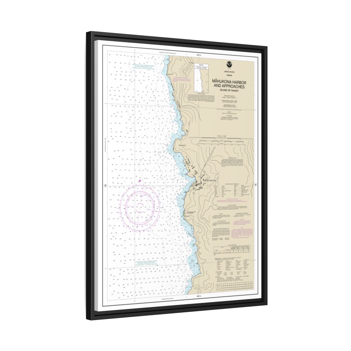 Chart 19329 Mahukona Harbor and approaches Island Of Hawaii - NOAA Nautical Chart Floating Frame Canvas | 24" x 32" | 30" x 40" - Black side