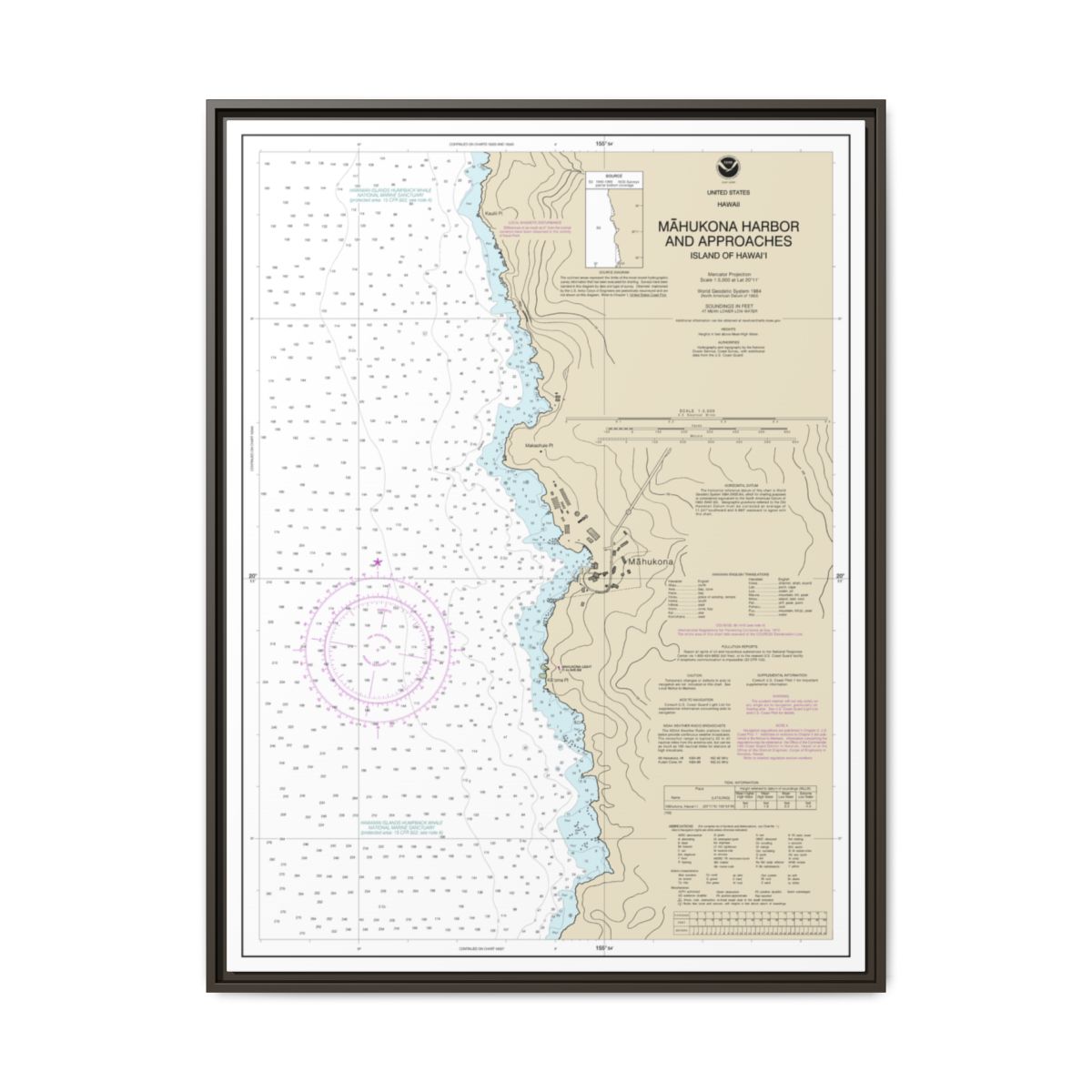 Chart 19329 Mahukona Harbor and approaches Island Of Hawaii - NOAA Nautical Chart Floating Frame Canvas | 24" x 32" | 30" x 40" - Espresso front