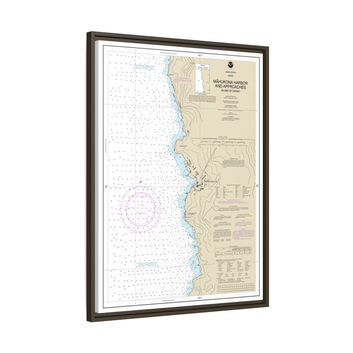 Chart 19329 Mahukona Harbor and approaches Island Of Hawaii - NOAA Nautical Chart Floating Frame Canvas | 24" x 32" | 30" x 40" - Espresso side