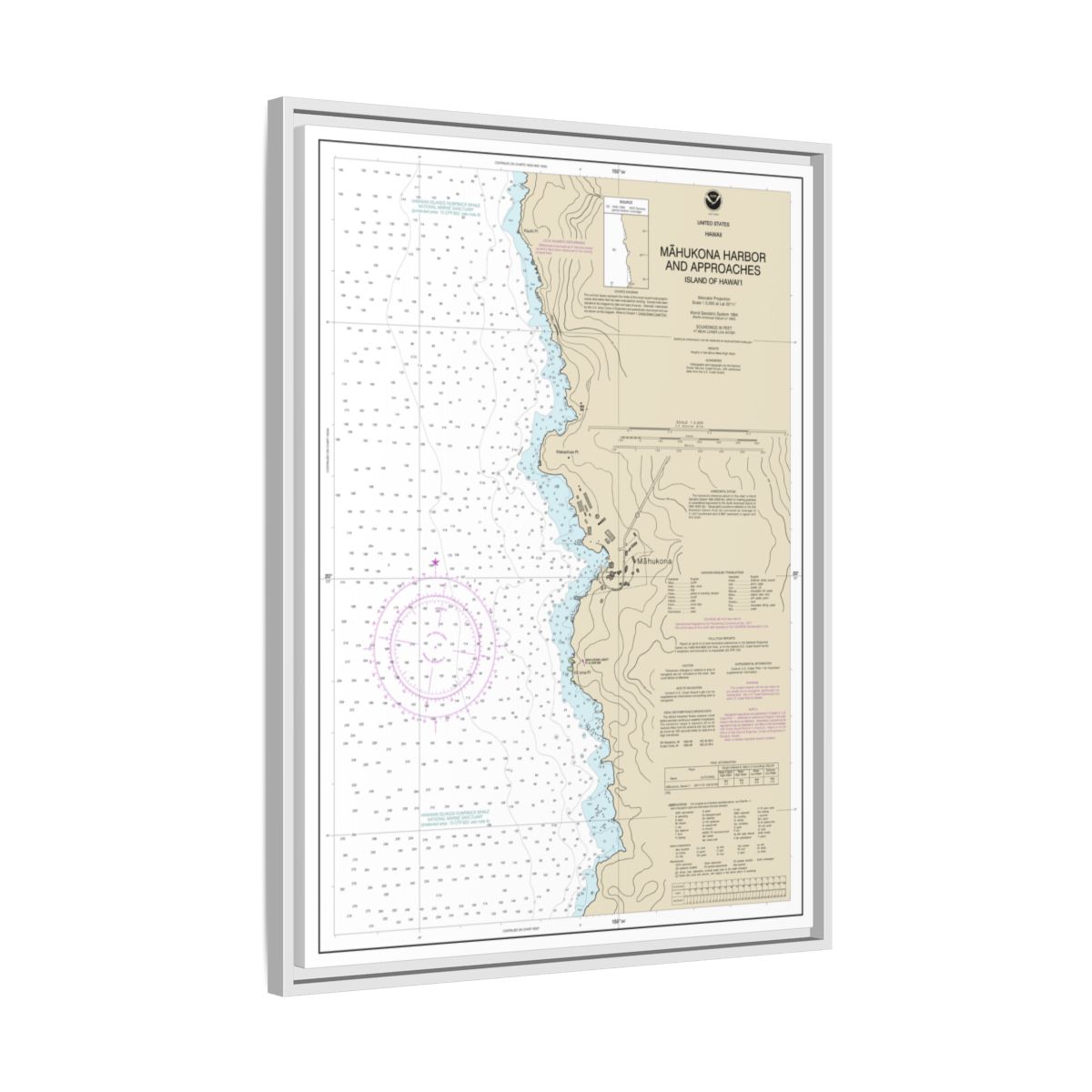 Chart 19329 Mahukona Harbor and approaches Island Of Hawaii - NOAA Nautical Chart Floating Frame Canvas | 24" x 32" | 30" x 40" - White side
