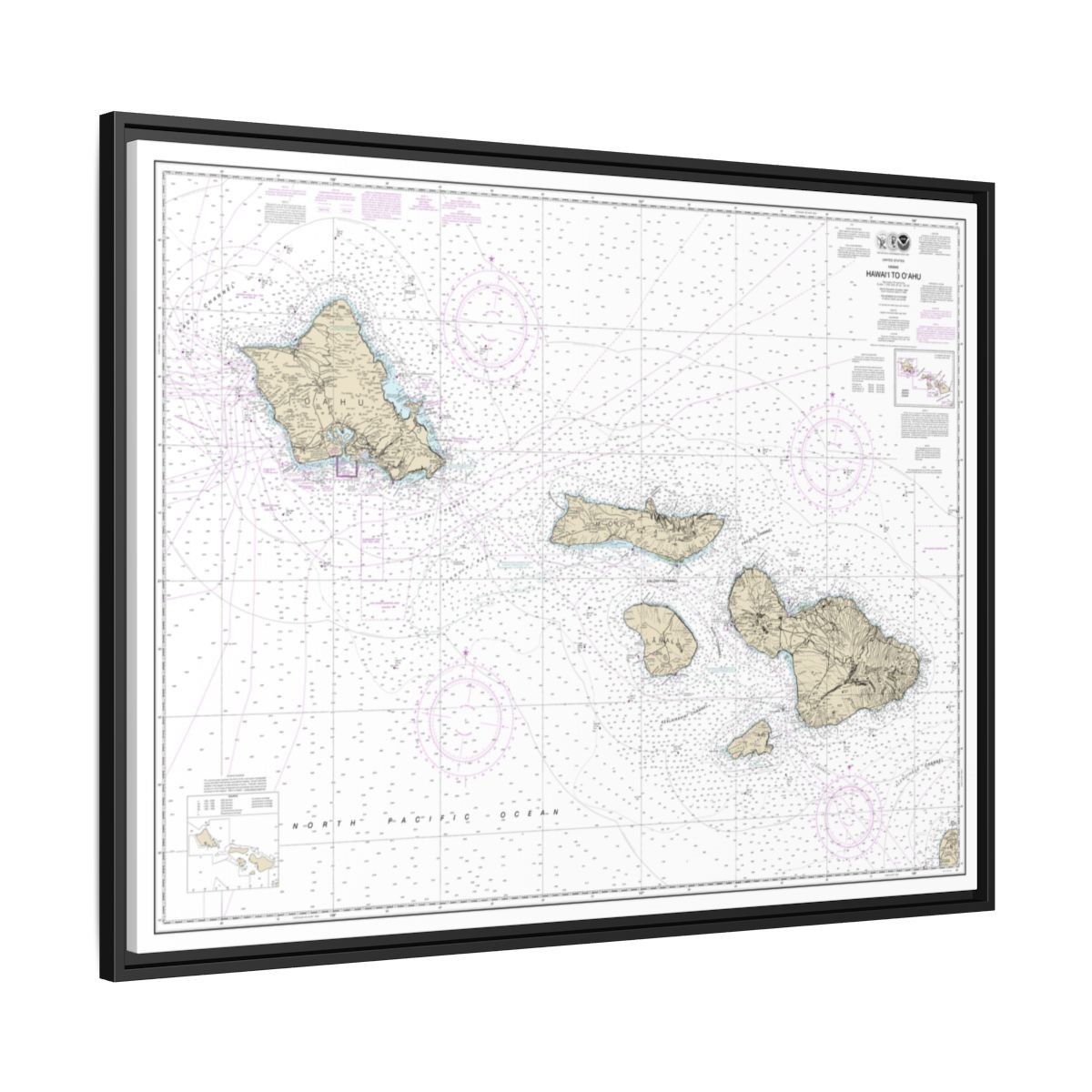 Chart 19340 Hawaii to Oahu - NOAA Nautical Chart Floating Frame Canvas | 32" x 24" | 40" x 30" - Black side