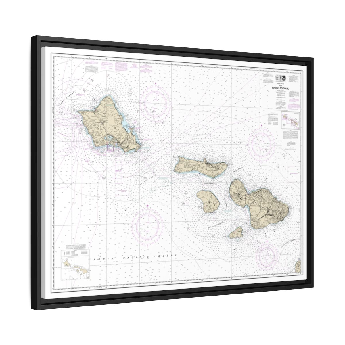 Chart 19340 Hawaii to Oahu - NOAA Nautical Chart Floating Frame Canvas | 32" x 24" | 40" x 30" - Black side