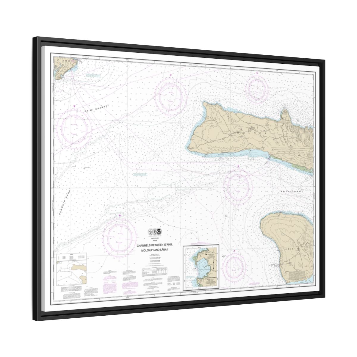 Chart 19351 Channels between Oahu, Molokai and Lanai;Kaumalapau Harbor - NOAA Nautical Chart Floating Frame Canvas | 32" x 24" | 40" x 30" - Black side