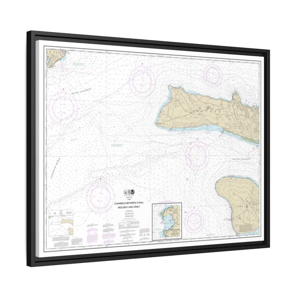 Chart 19351 Channels between Oahu, Molokai and Lanai;Kaumalapau Harbor - NOAA Nautical Chart Floating Frame Canvas | 32" x 24" | 40" x 30" - Black side