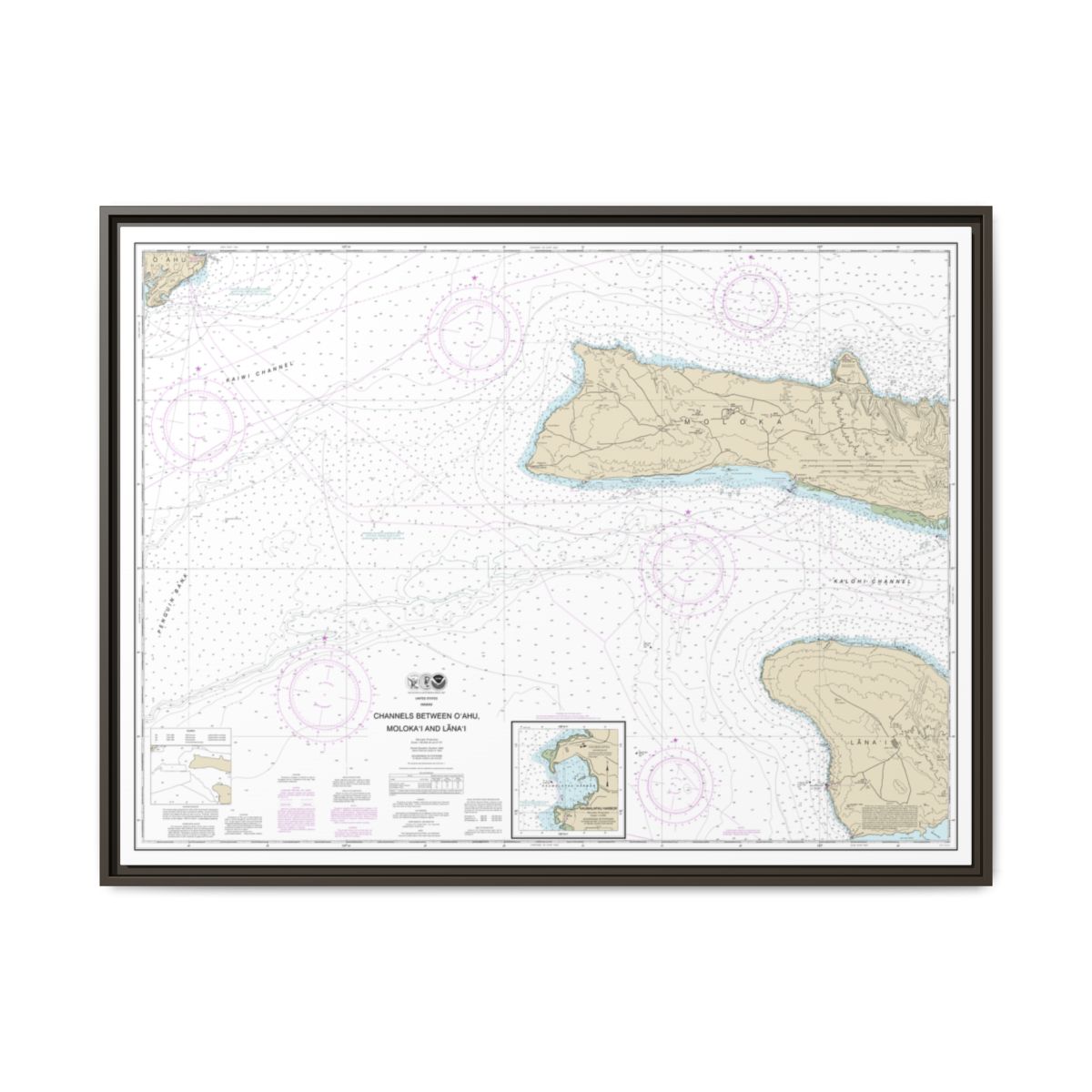 Chart 19351 Channels between Oahu, Molokai and Lanai;Kaumalapau Harbor - NOAA Nautical Chart Floating Frame Canvas | 32" x 24" | 40" x 30" - Espresso front