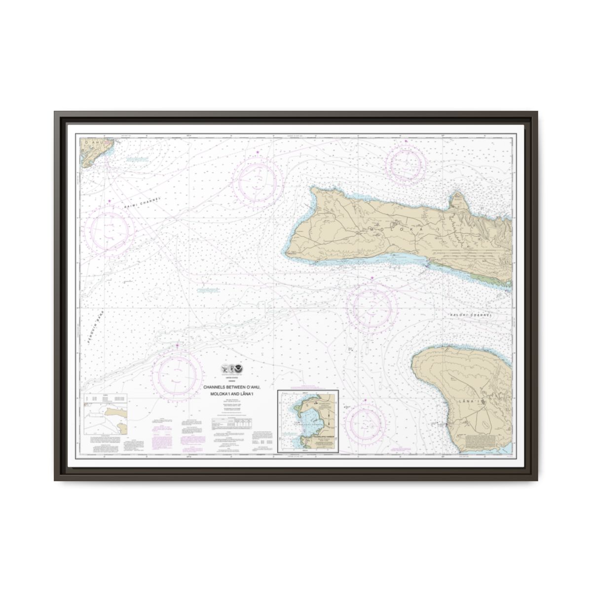 Chart 19351 Channels between Oahu, Molokai and Lanai;Kaumalapau Harbor - NOAA Nautical Chart Floating Frame Canvas | 32" x 24" | 40" x 30" - Espresso front