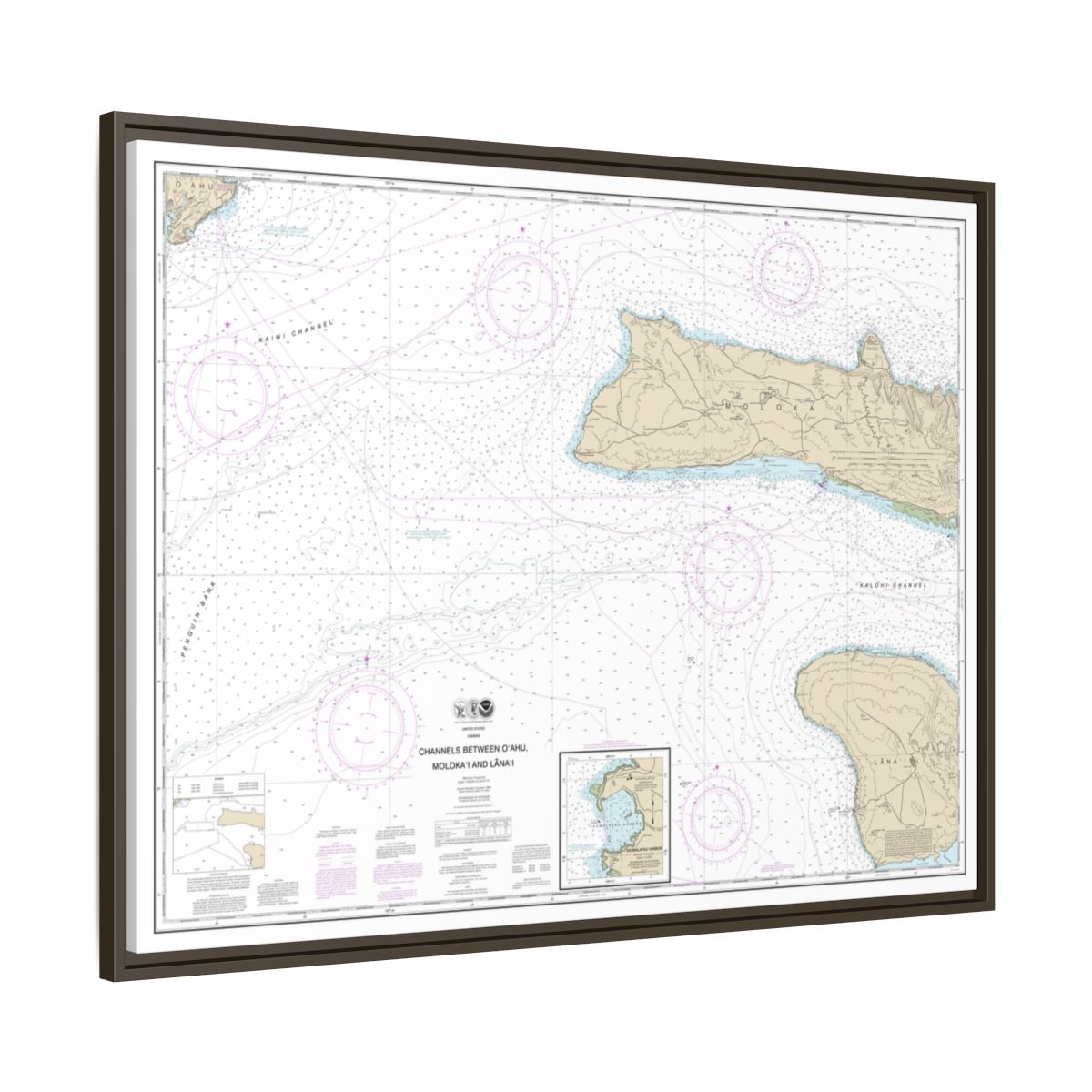 Chart 19351 Channels between Oahu, Molokai and Lanai;Kaumalapau Harbor - NOAA Nautical Chart Floating Frame Canvas | 32" x 24" | 40" x 30" - Espresso side