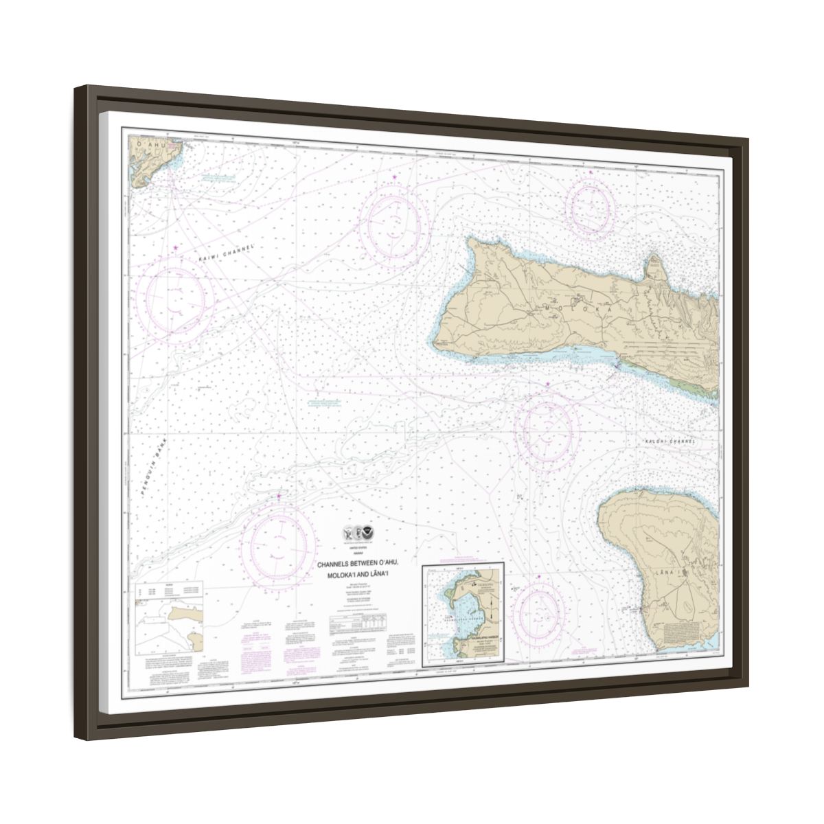 Chart 19351 Channels between Oahu, Molokai and Lanai;Kaumalapau Harbor - NOAA Nautical Chart Floating Frame Canvas | 32" x 24" | 40" x 30" - Espresso side