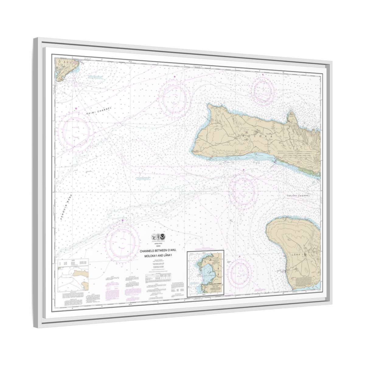 Chart 19351 Channels between Oahu, Molokai and Lanai;Kaumalapau Harbor - NOAA Nautical Chart Floating Frame Canvas | 32" x 24" | 40" x 30" - White side