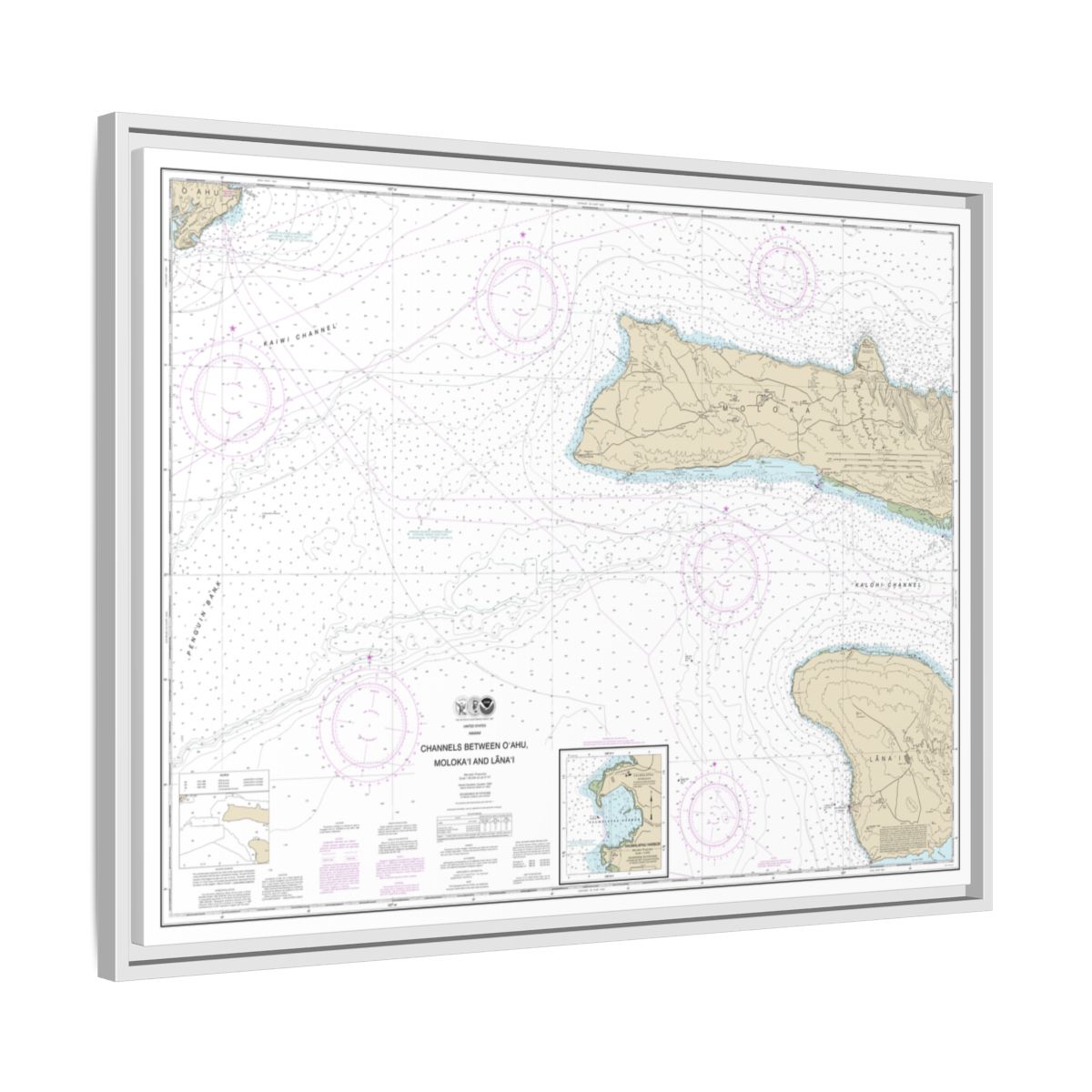 Chart 19351 Channels between Oahu, Molokai and Lanai;Kaumalapau Harbor - NOAA Nautical Chart Floating Frame Canvas | 32" x 24" | 40" x 30" - White side