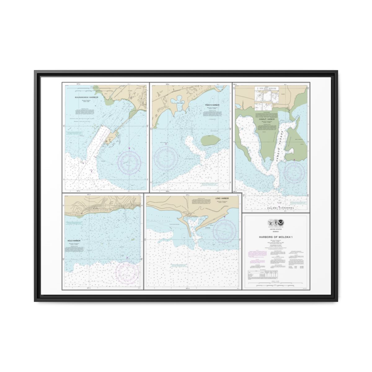 Chart 19353 Harbors of Molokai Kaunakakai Harbor;Pukoo Harbor;Kamalo Harbor;Kolo Harbor;Lono Harbor - NOAA Nautical Chart Floating Frame Canvas | 32" x 24" | 40" x 30" - Black front