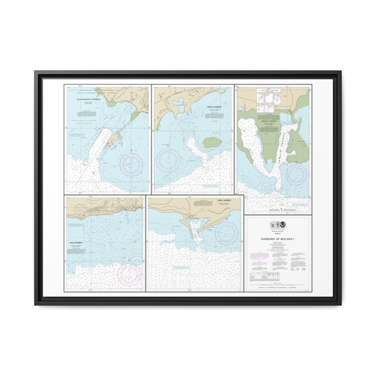 Chart 19353 Harbors of Molokai Kaunakakai Harbor;Pukoo Harbor;Kamalo Harbor;Kolo Harbor;Lono Harbor - NOAA Nautical Chart Floating Frame Canvas | 32" x 24" | 40" x 30" - Black front