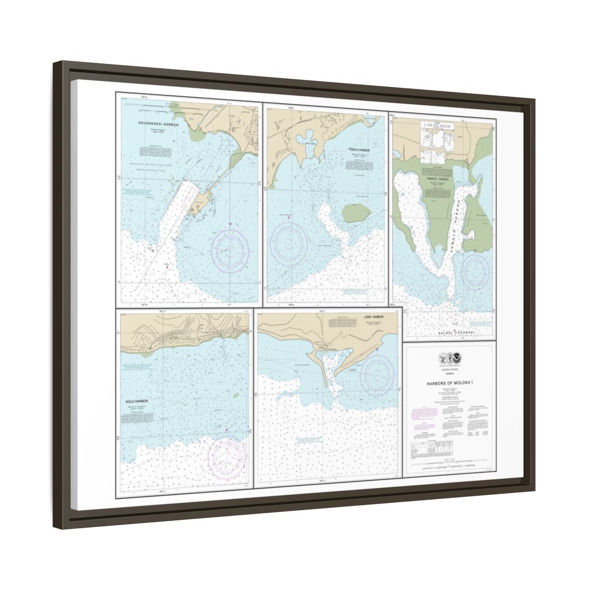 Chart 19353 Harbors of Molokai Kaunakakai Harbor;Pukoo Harbor;Kamalo Harbor;Kolo Harbor;Lono Harbor - NOAA Nautical Chart Floating Frame Canvas | 32" x 24" | 40" x 30" - Espresso side