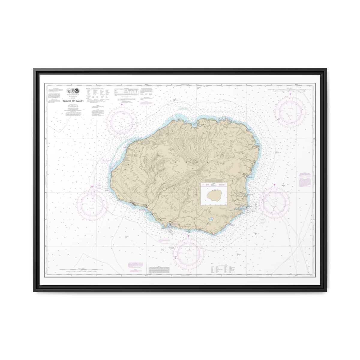 Chart 19381 Island of Kauai - NOAA Nautical Chart Floating Frame Canvas | 32" x 24" | 40" x 30" - Black front