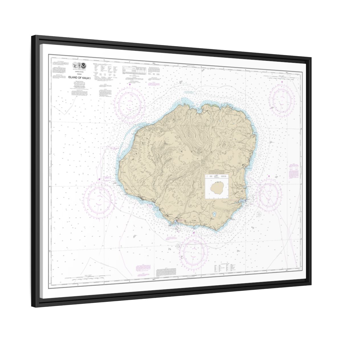 Chart 19381 Island of Kauai - NOAA Nautical Chart Floating Frame Canvas | 32" x 24" | 40" x 30" - Black side