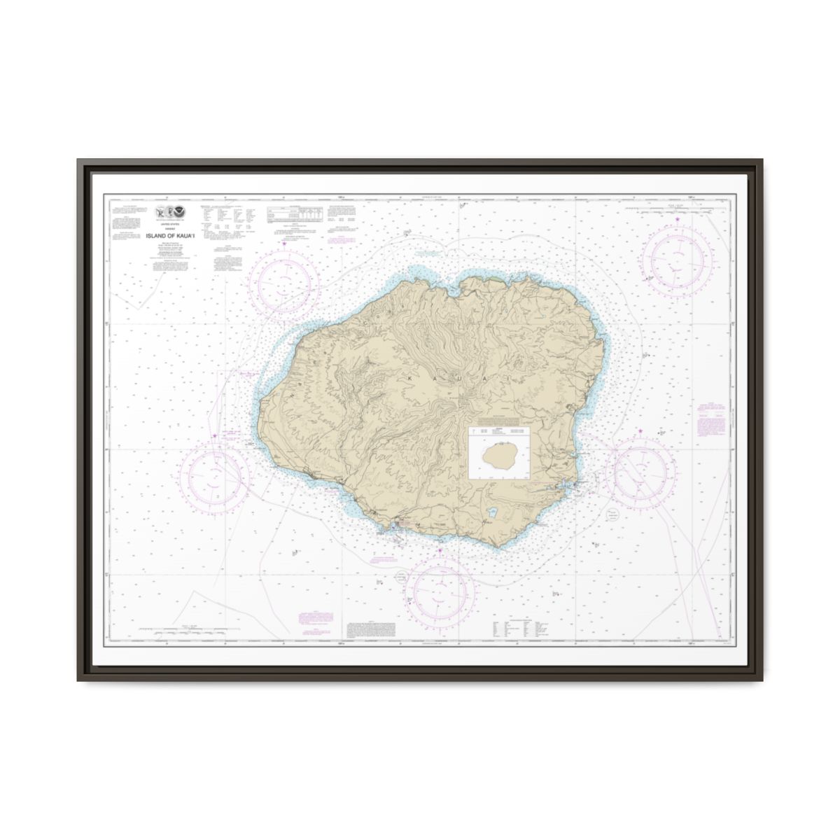 Chart 19381 Island of Kauai - NOAA Nautical Chart Floating Frame Canvas | 32" x 24" | 40" x 30" - Espresso front