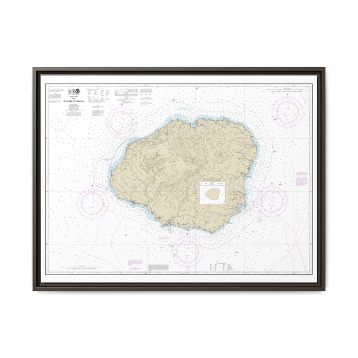 Chart 19381 Island of Kauai - NOAA Nautical Chart Floating Frame Canvas | 32" x 24" | 40" x 30" - Espresso front