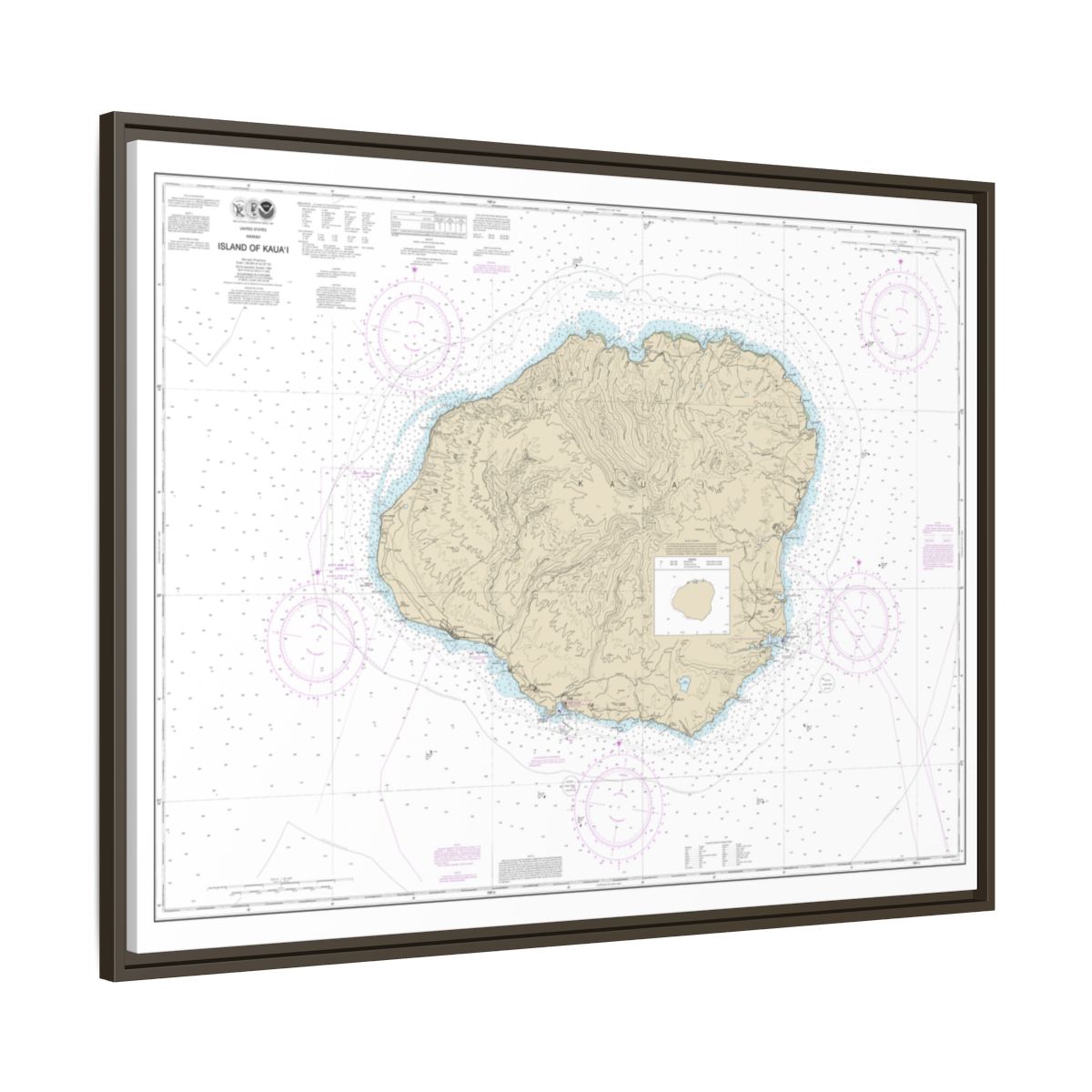 Chart 19381 Island of Kauai - NOAA Nautical Chart Floating Frame Canvas | 32" x 24" | 40" x 30" - Espresso side
