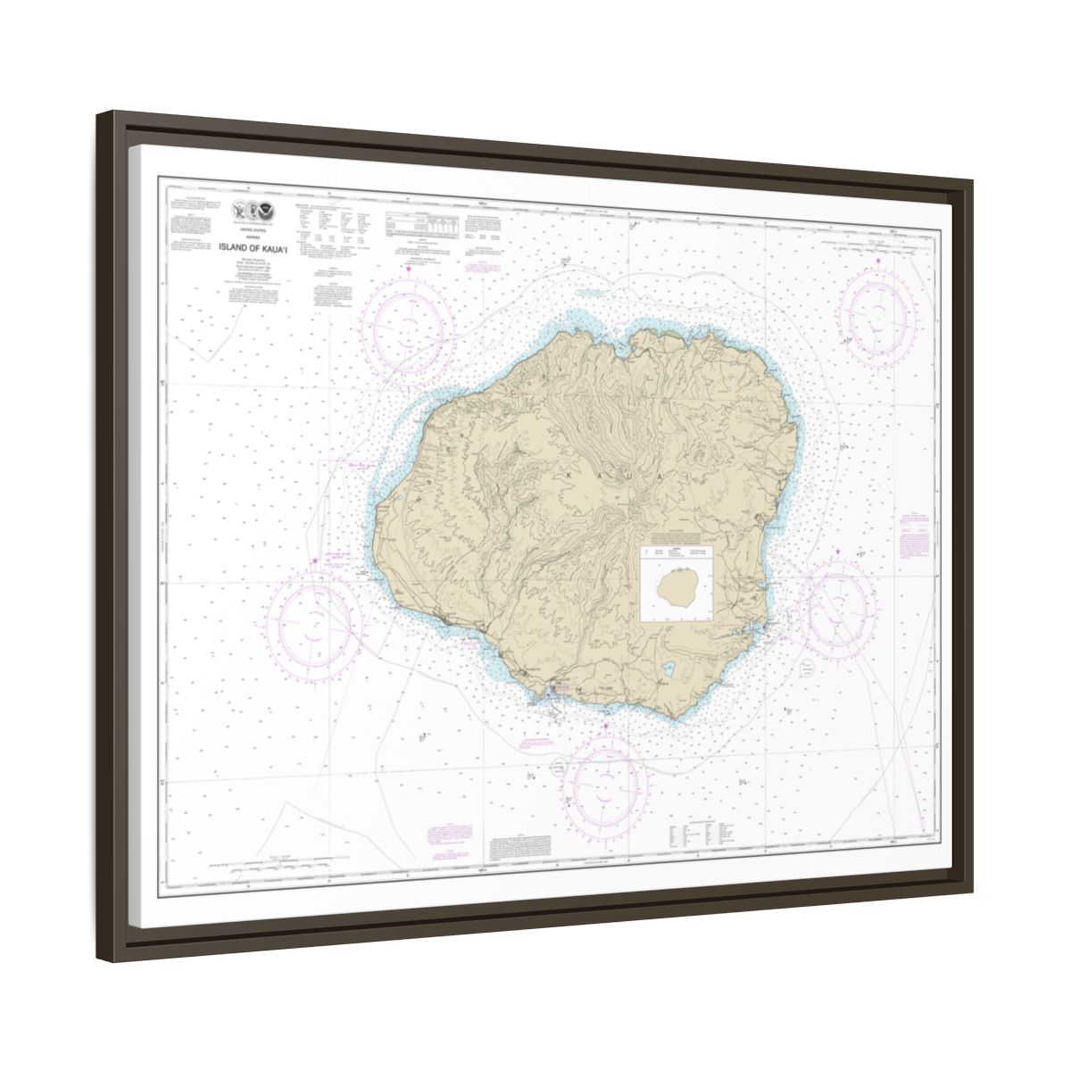 Chart 19381 Island of Kauai - NOAA Nautical Chart Floating Frame Canvas | 32" x 24" | 40" x 30" - Espresso side