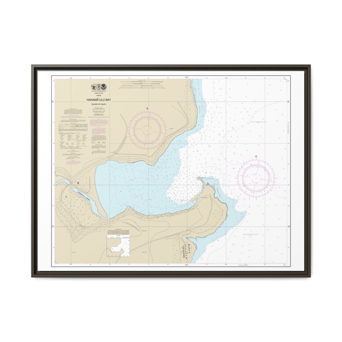 Chart 19384 Hanamaulu Bay Island of Kauai - NOAA Nautical Chart Floating Frame Canvas | 32" x 24" | 40" x 30" - Espresso front