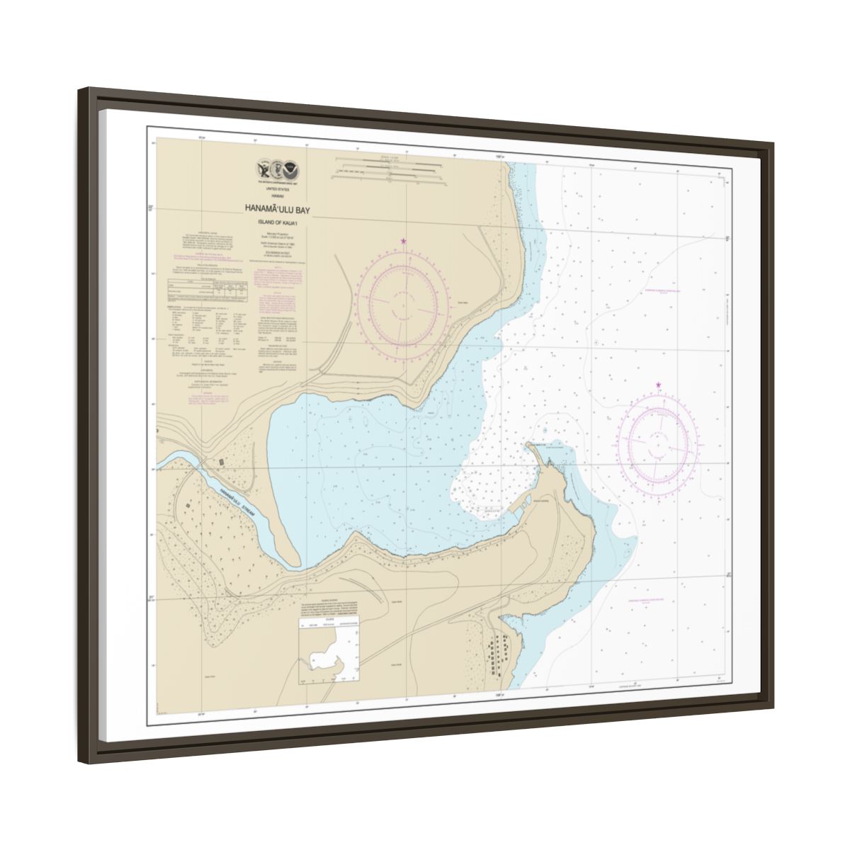 Chart 19384 Hanamaulu Bay Island of Kauai - NOAA Nautical Chart Floating Frame Canvas | 32" x 24" | 40" x 30" - Espresso side