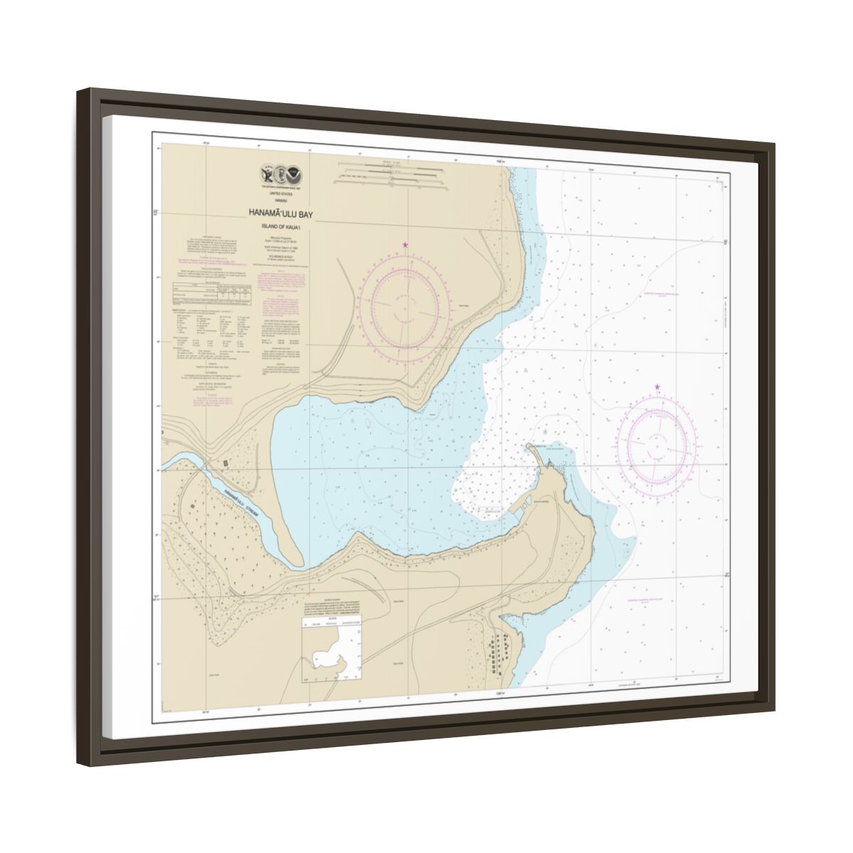 Chart 19384 Hanamaulu Bay Island of Kauai - NOAA Nautical Chart Floating Frame Canvas | 32" x 24" | 40" x 30" - Espresso side