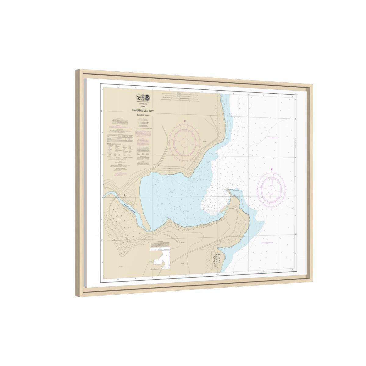 Chart 19384 Hanamaulu Bay Island of Kauai - NOAA Nautical Chart Floating Frame Canvas | 32" x 24" | 40" x 30" - Natural side