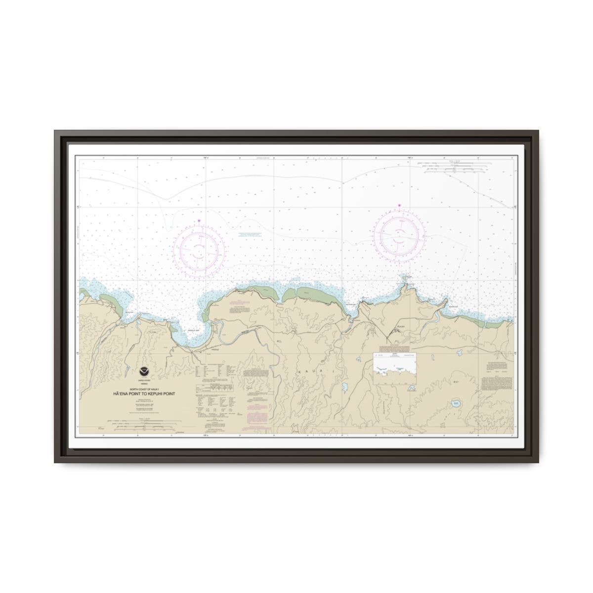 Chart 19385 North Coast of Kauai Haena Point to Kepuhi Point - NOAA Nautical Chart Floating Frame Canvas | 30" x 20" | 36" x 24" | 48" x 32" - Espresso front