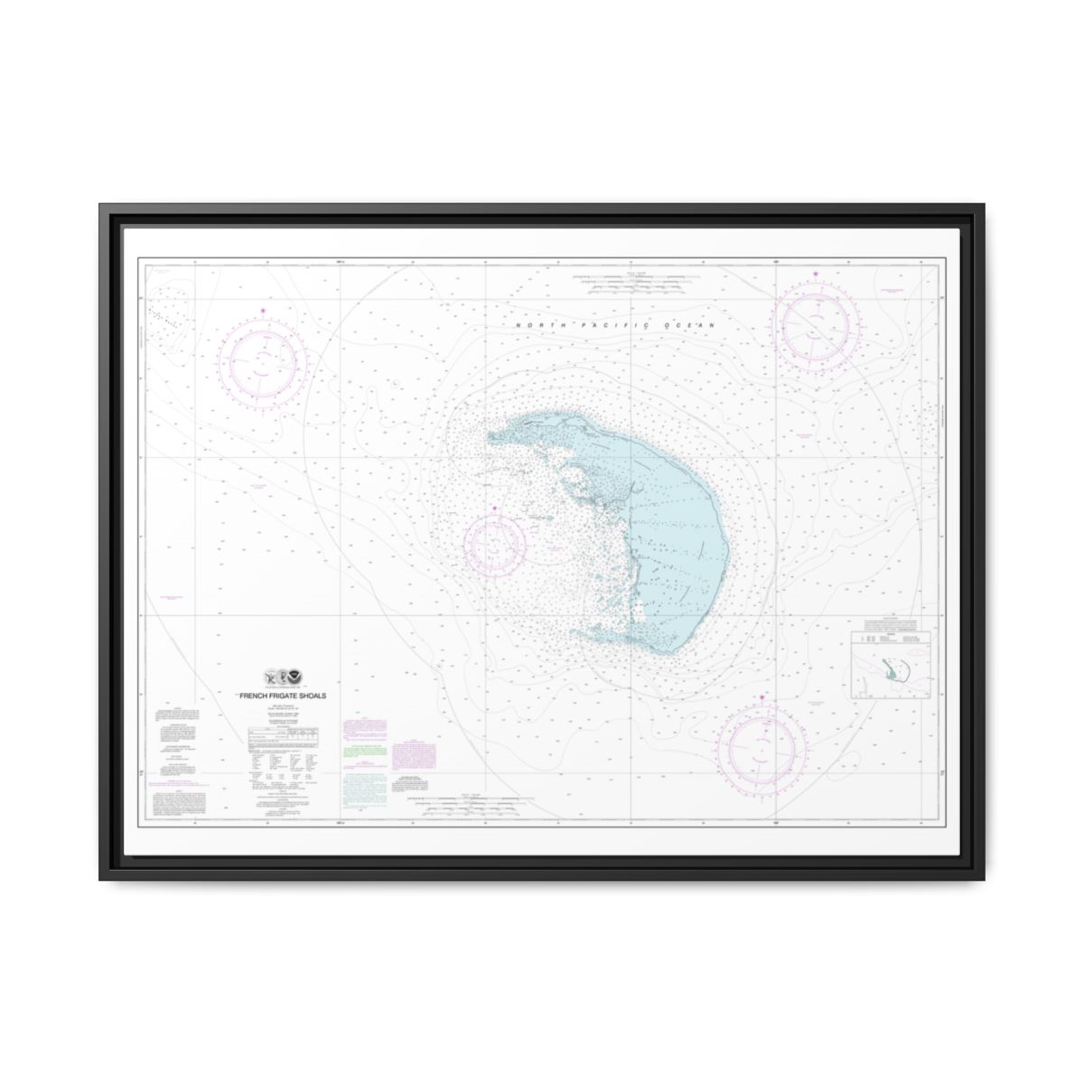 Chart 19401 French Frigate Shoals - NOAA Nautical Chart Floating Frame Canvas | 32" x 24" | 40" x 30" - Black front