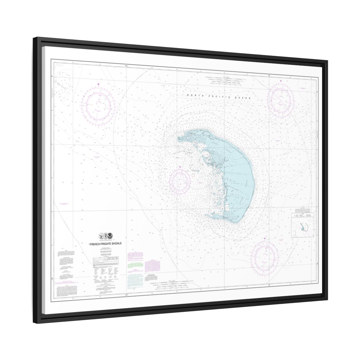 Chart 19401 French Frigate Shoals - NOAA Nautical Chart Floating Frame Canvas | 32" x 24" | 40" x 30" - Black side
