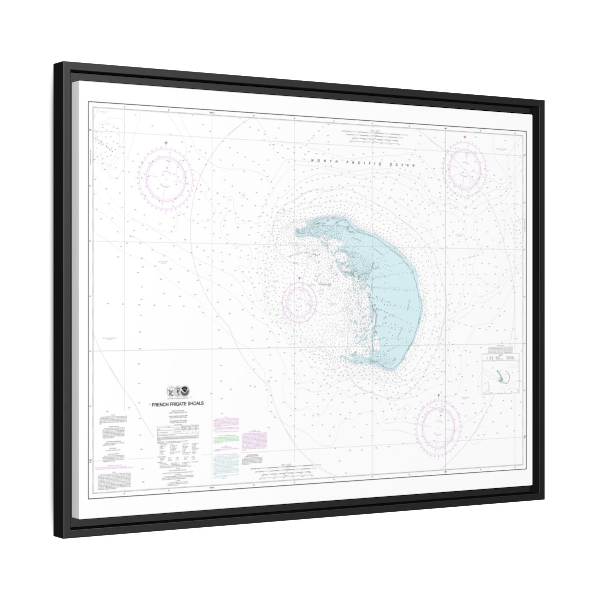 Chart 19401 French Frigate Shoals - NOAA Nautical Chart Floating Frame Canvas | 32" x 24" | 40" x 30" - Black side
