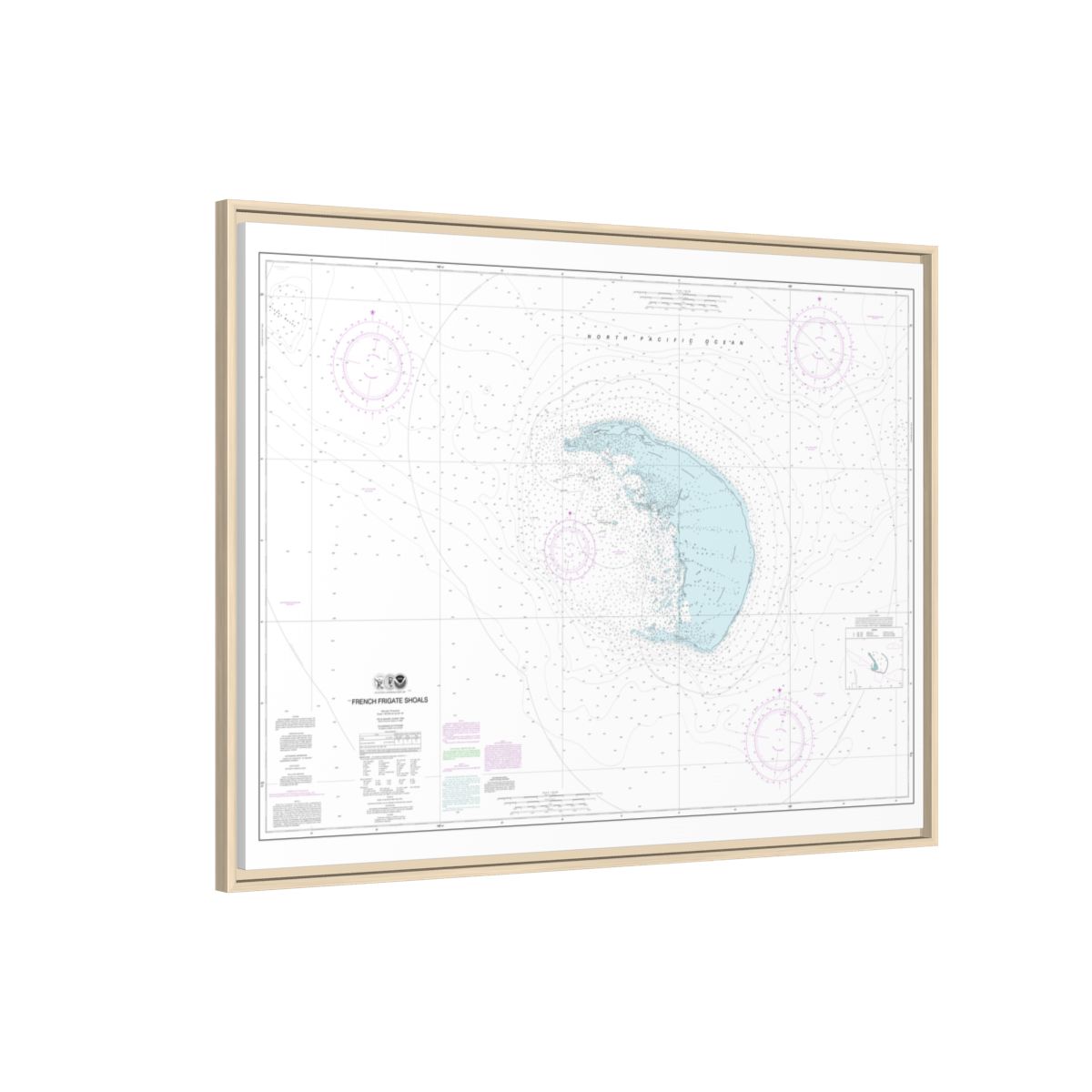 Chart 19401 French Frigate Shoals - NOAA Nautical Chart Floating Frame Canvas | 32" x 24" | 40" x 30" - Natural side