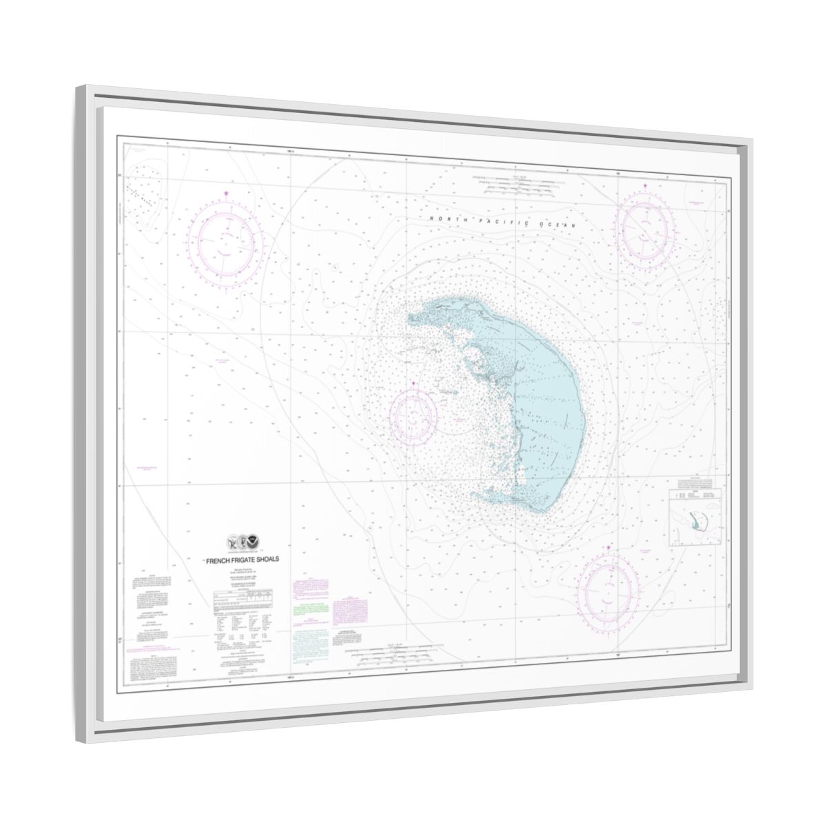 Chart 19401 French Frigate Shoals - NOAA Nautical Chart Floating Frame Canvas | 32" x 24" | 40" x 30" - White side