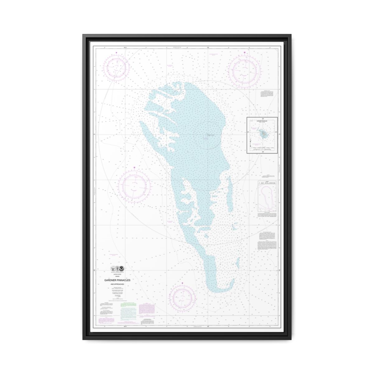 Chart 19421 Gardner Pinnacles and approaches;Gardner Pinnacles - NOAA Nautical Chart Floating Frame Canvas | 20" x 30" | 24" x 36" | 32" x 48" - Black front