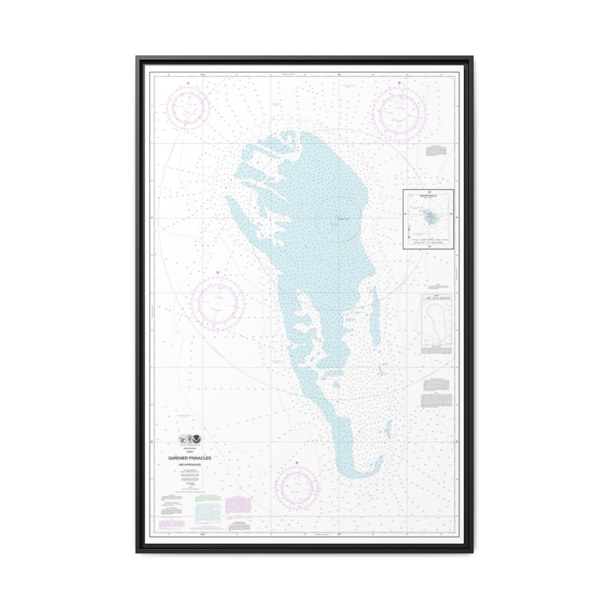 Chart 19421 Gardner Pinnacles and approaches;Gardner Pinnacles - NOAA Nautical Chart Floating Frame Canvas | 20" x 30" | 24" x 36" | 32" x 48" - Black front