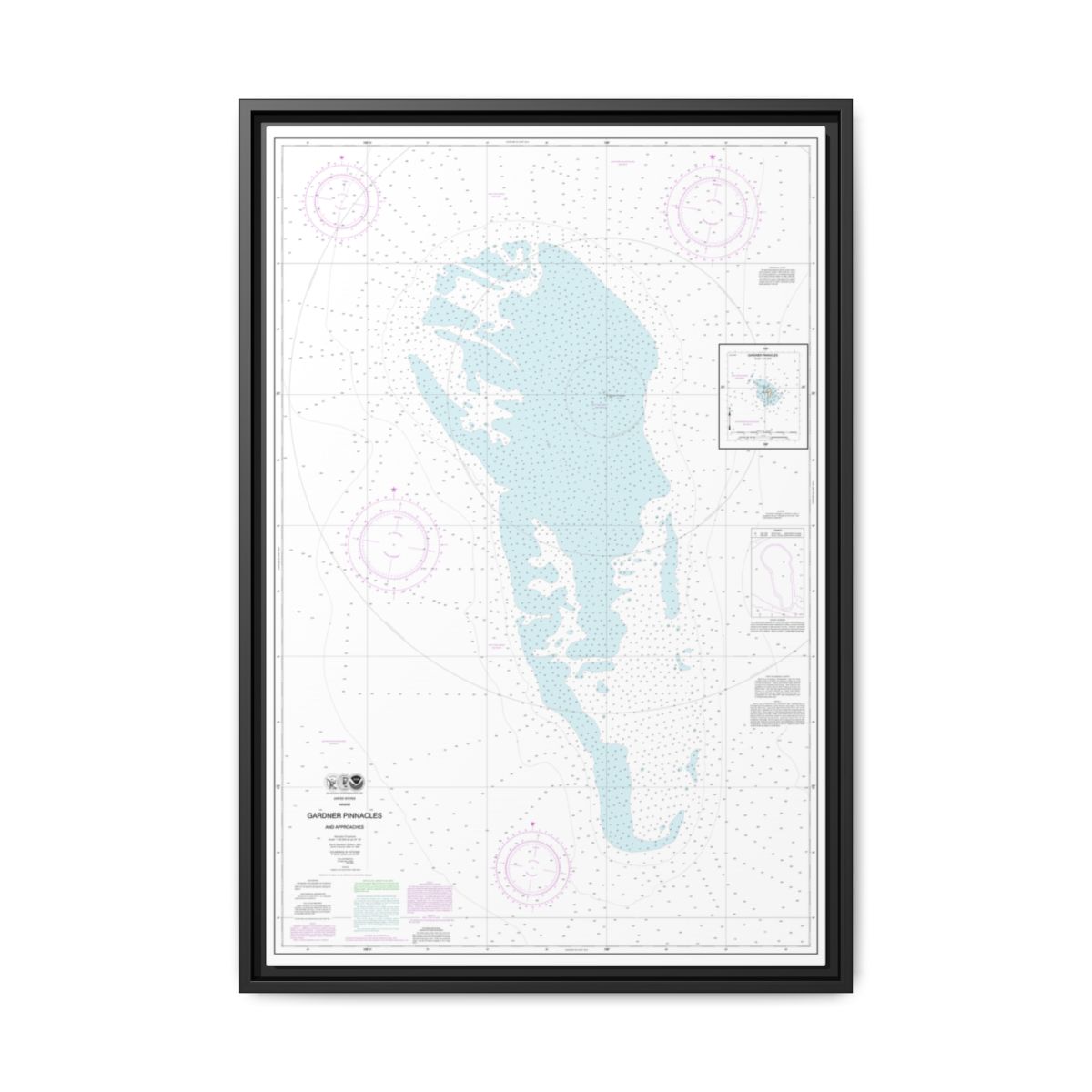 Chart 19421 Gardner Pinnacles and approaches;Gardner Pinnacles - NOAA Nautical Chart Floating Frame Canvas | 20" x 30" | 24" x 36" | 32" x 48" - Black front