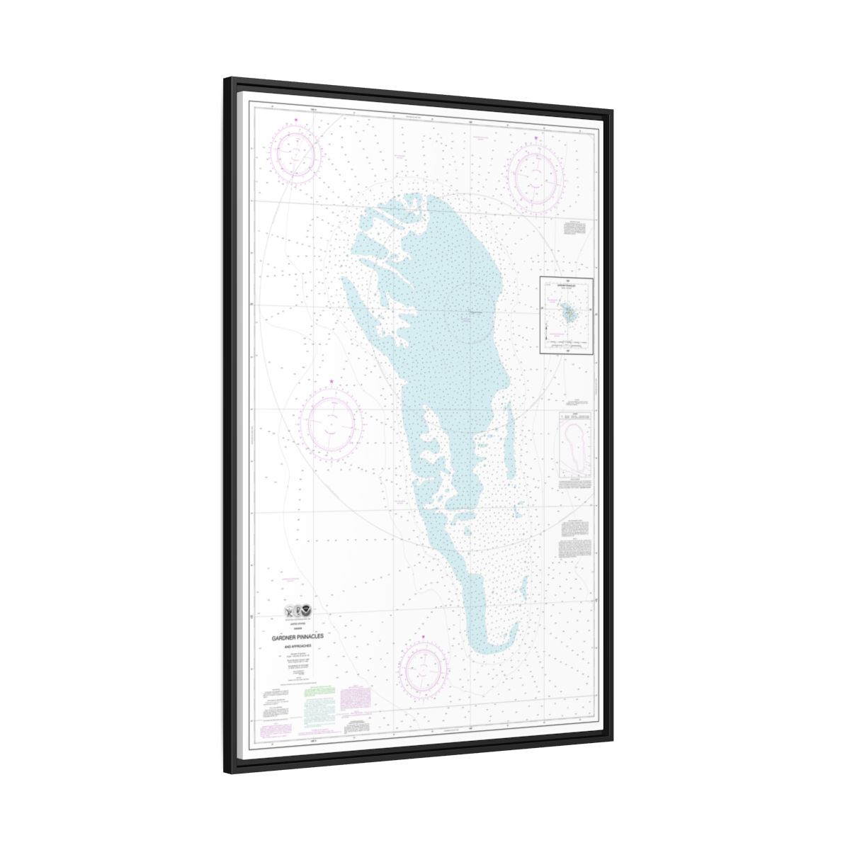 Chart 19421 Gardner Pinnacles and approaches;Gardner Pinnacles - NOAA Nautical Chart Floating Frame Canvas | 20" x 30" | 24" x 36" | 32" x 48" - Black side