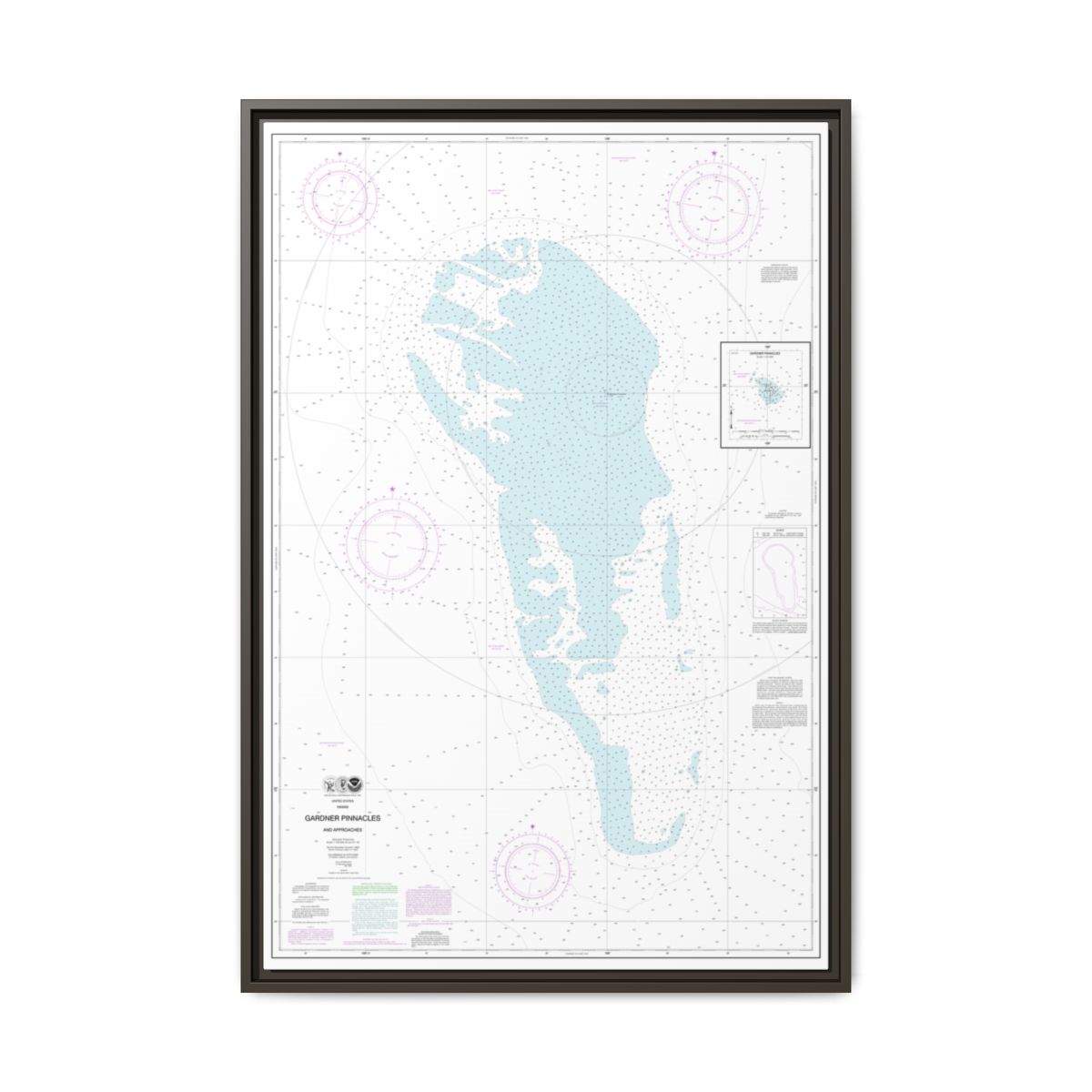 Chart 19421 Gardner Pinnacles and approaches;Gardner Pinnacles - NOAA Nautical Chart Floating Frame Canvas | 20" x 30" | 24" x 36" | 32" x 48" - Espresso front