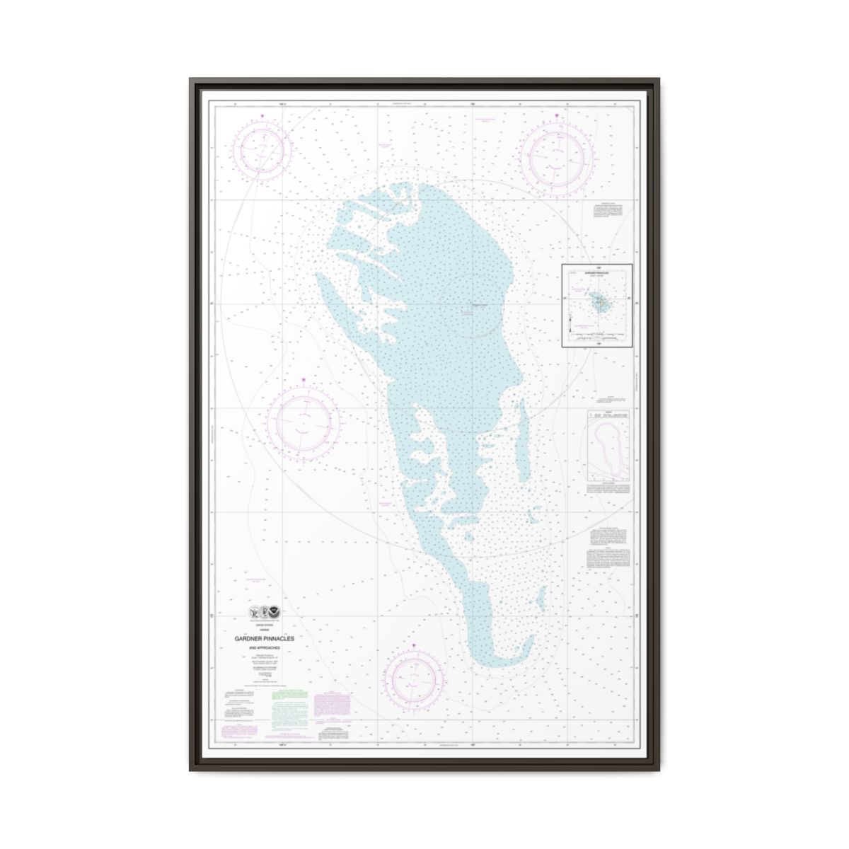 Chart 19421 Gardner Pinnacles and approaches;Gardner Pinnacles - NOAA Nautical Chart Floating Frame Canvas | 20" x 30" | 24" x 36" | 32" x 48" - Espresso front