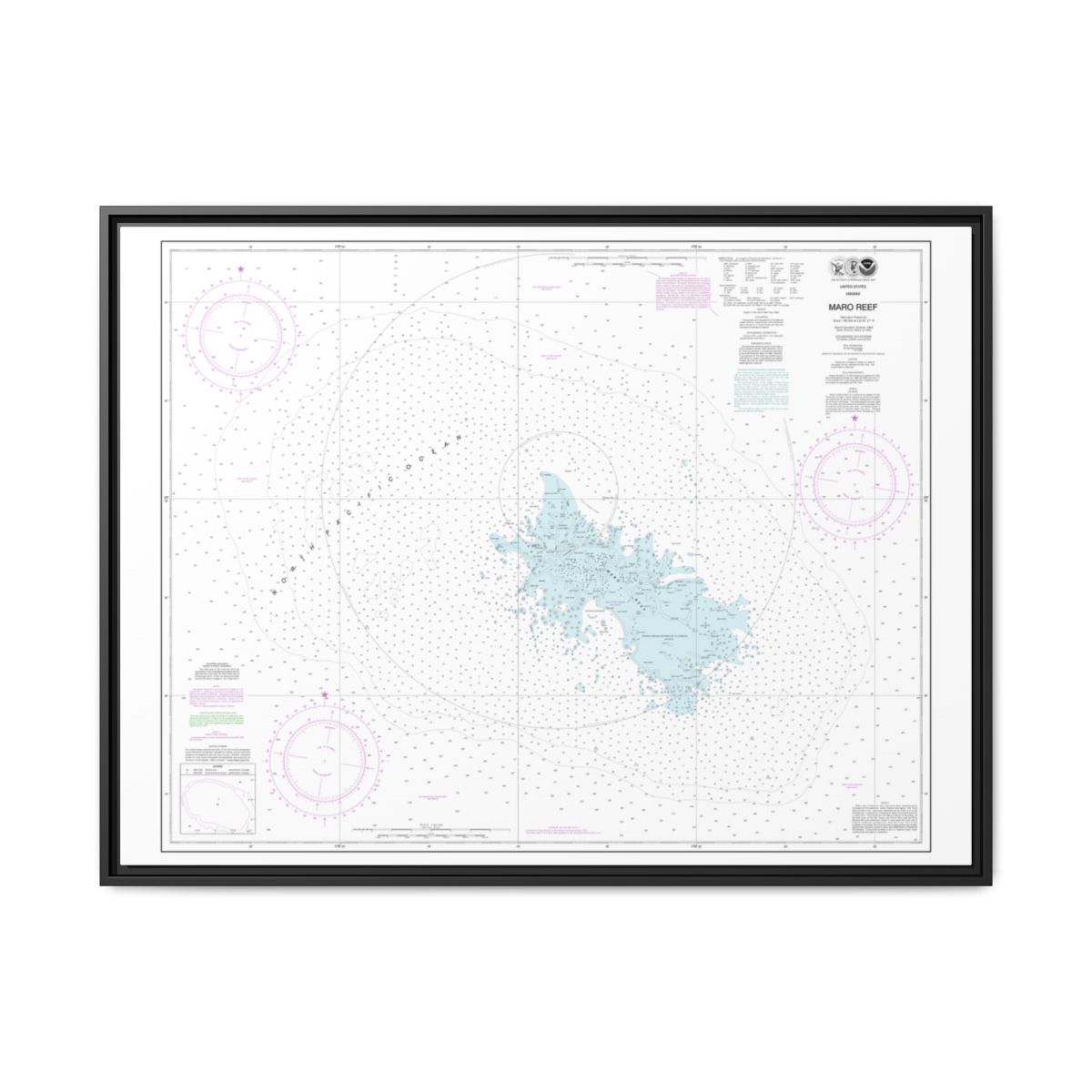 Chart 19441 Maro Reef - NOAA Nautical Chart Floating Frame Canvas | 32" x 24" | 40" x 30" - Black front
