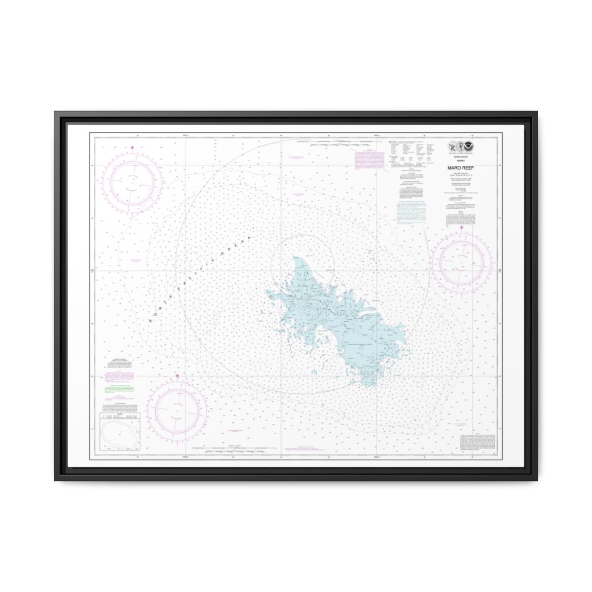 Chart 19441 Maro Reef - NOAA Nautical Chart Floating Frame Canvas | 32" x 24" | 40" x 30" - Black front