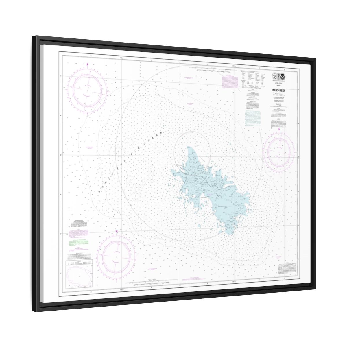 Chart 19441 Maro Reef - NOAA Nautical Chart Floating Frame Canvas | 32" x 24" | 40" x 30" - Black side
