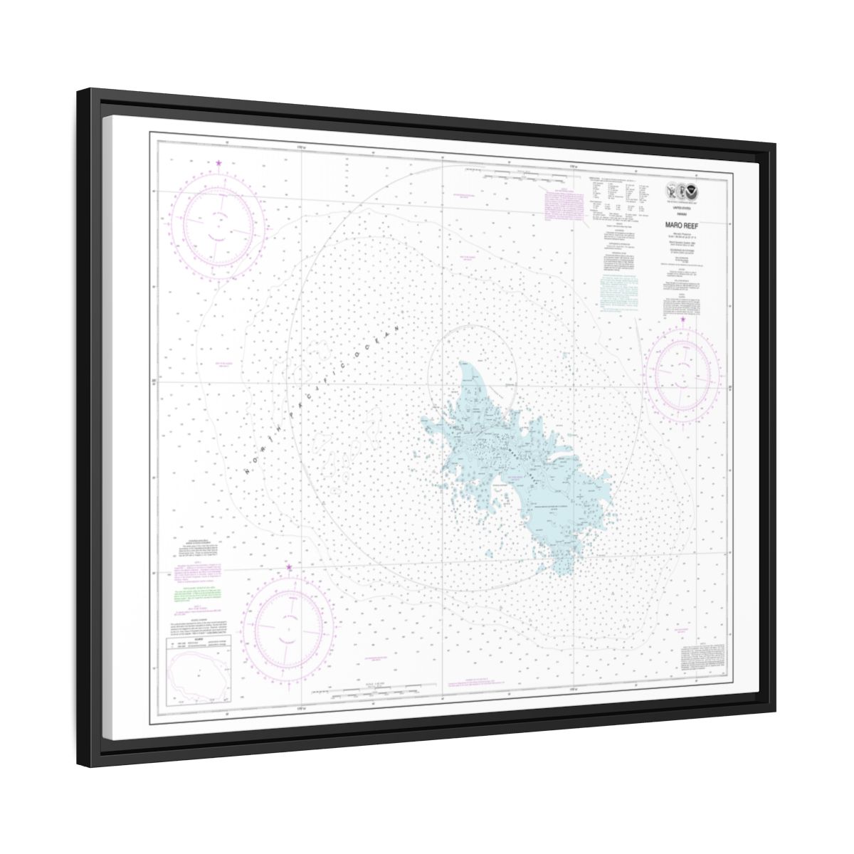Chart 19441 Maro Reef - NOAA Nautical Chart Floating Frame Canvas | 32" x 24" | 40" x 30" - Black side