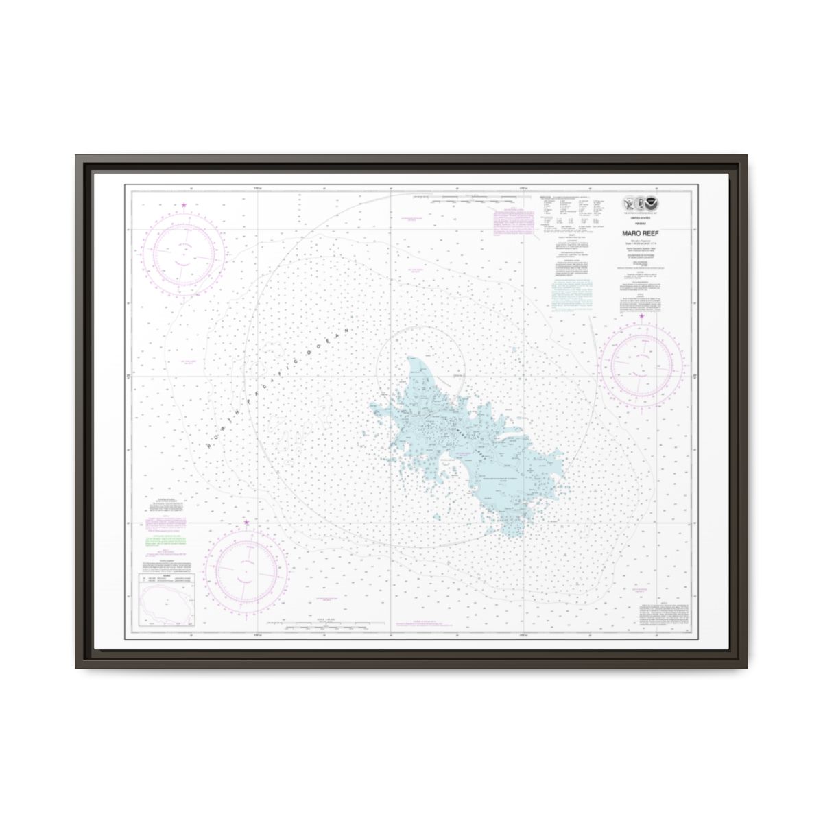 Chart 19441 Maro Reef - NOAA Nautical Chart Floating Frame Canvas | 32" x 24" | 40" x 30" - Espresso front