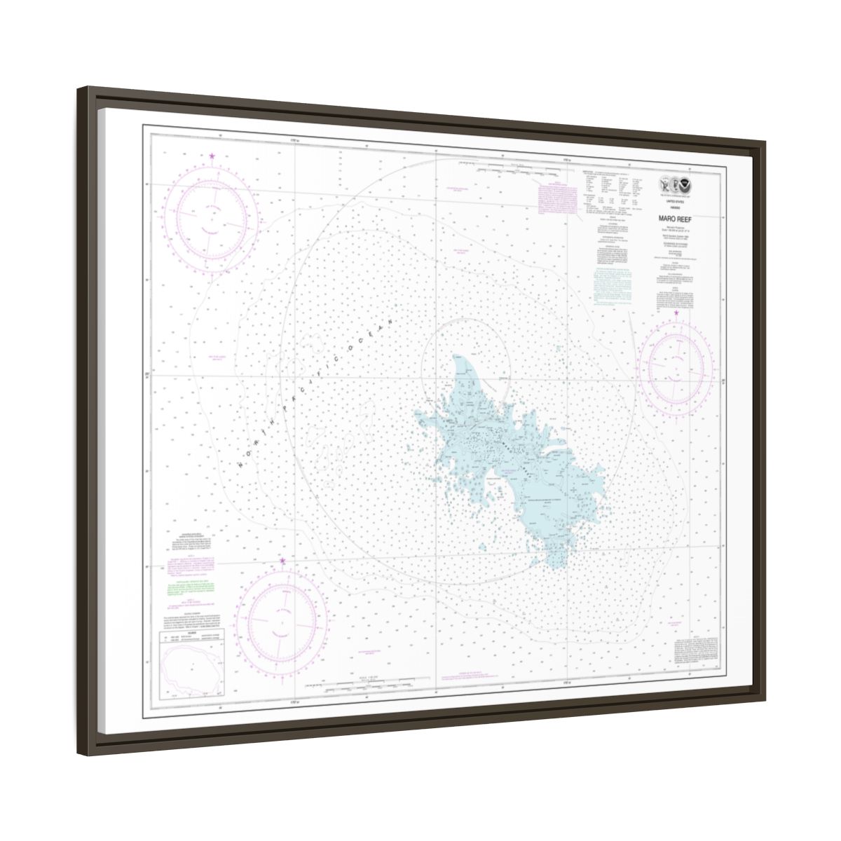 Chart 19441 Maro Reef - NOAA Nautical Chart Floating Frame Canvas | 32" x 24" | 40" x 30" - Espresso side