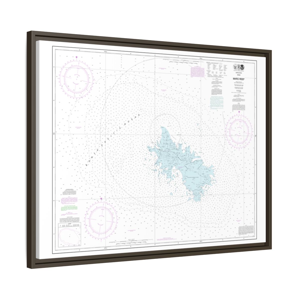 Chart 19441 Maro Reef - NOAA Nautical Chart Floating Frame Canvas | 32" x 24" | 40" x 30" - Espresso side