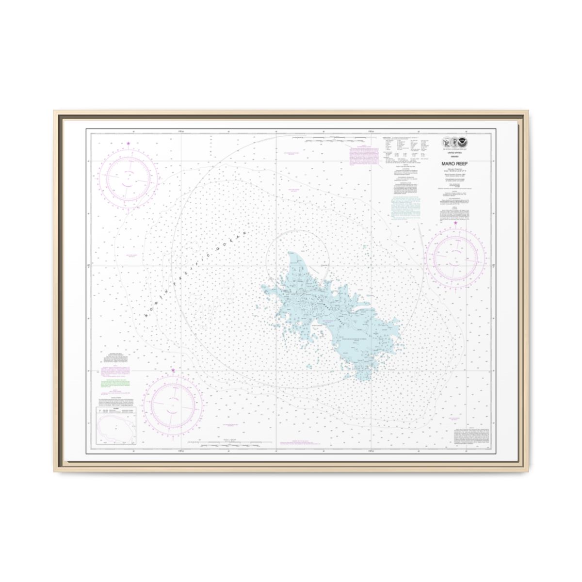 Chart 19441 Maro Reef - NOAA Nautical Chart Floating Frame Canvas | 32" x 24" | 40" x 30" - Natural front
