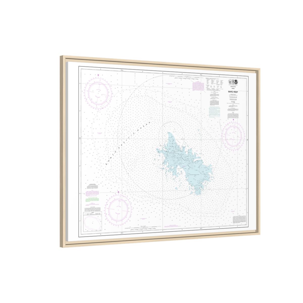 Chart 19441 Maro Reef - NOAA Nautical Chart Floating Frame Canvas | 32" x 24" | 40" x 30" - Natural side