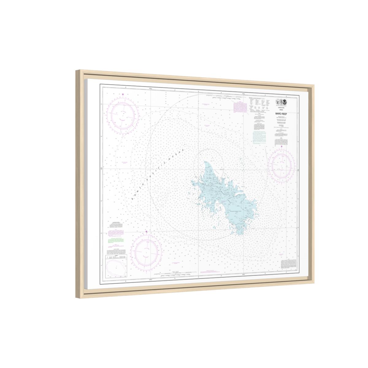 Chart 19441 Maro Reef - NOAA Nautical Chart Floating Frame Canvas | 32" x 24" | 40" x 30" - Natural side